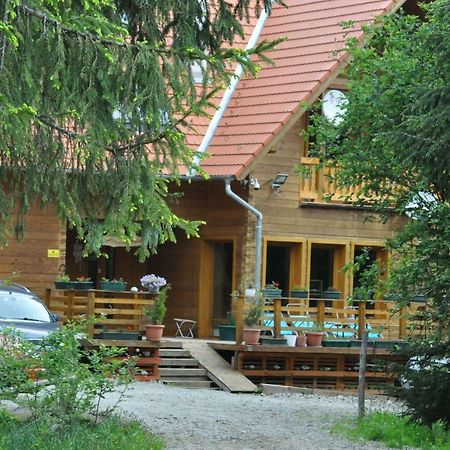 Bed and Breakfast Mofetta Panzio Sintimbru-Bai Екстер'єр фото