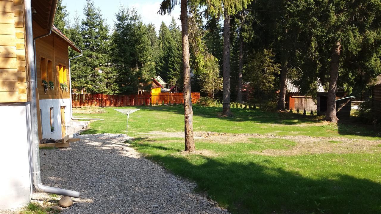 Bed and Breakfast Mofetta Panzio Sintimbru-Bai Екстер'єр фото