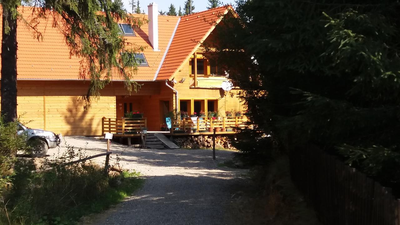 Bed and Breakfast Mofetta Panzio Sintimbru-Bai Екстер'єр фото