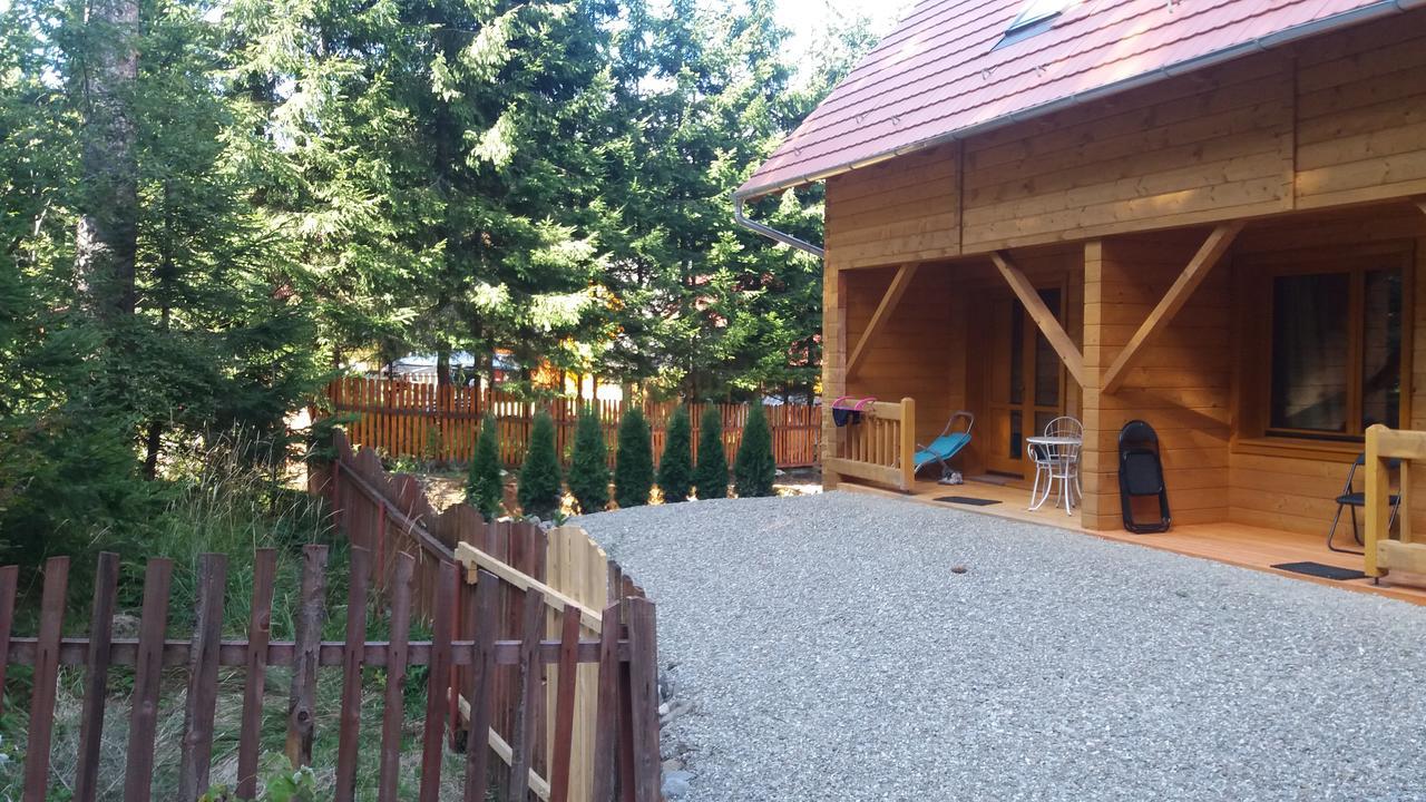 Bed and Breakfast Mofetta Panzio Sintimbru-Bai Екстер'єр фото