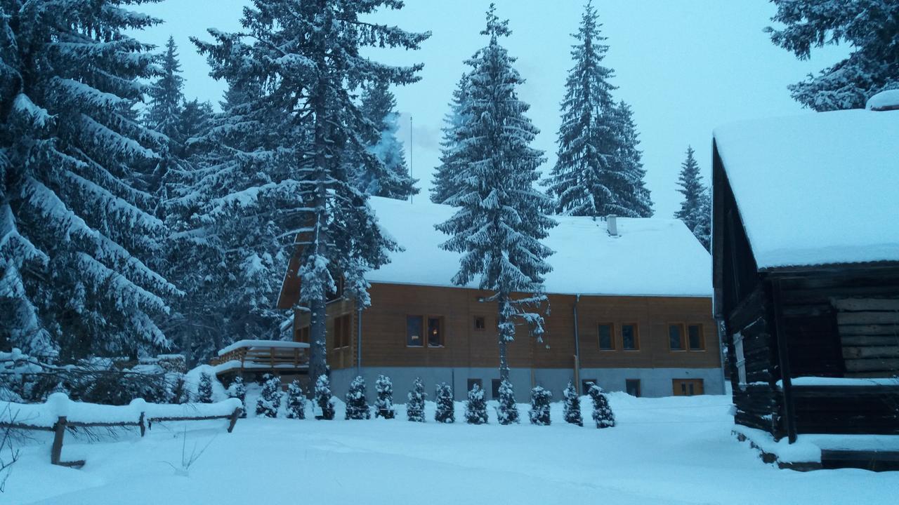Bed and Breakfast Mofetta Panzio Sintimbru-Bai Екстер'єр фото