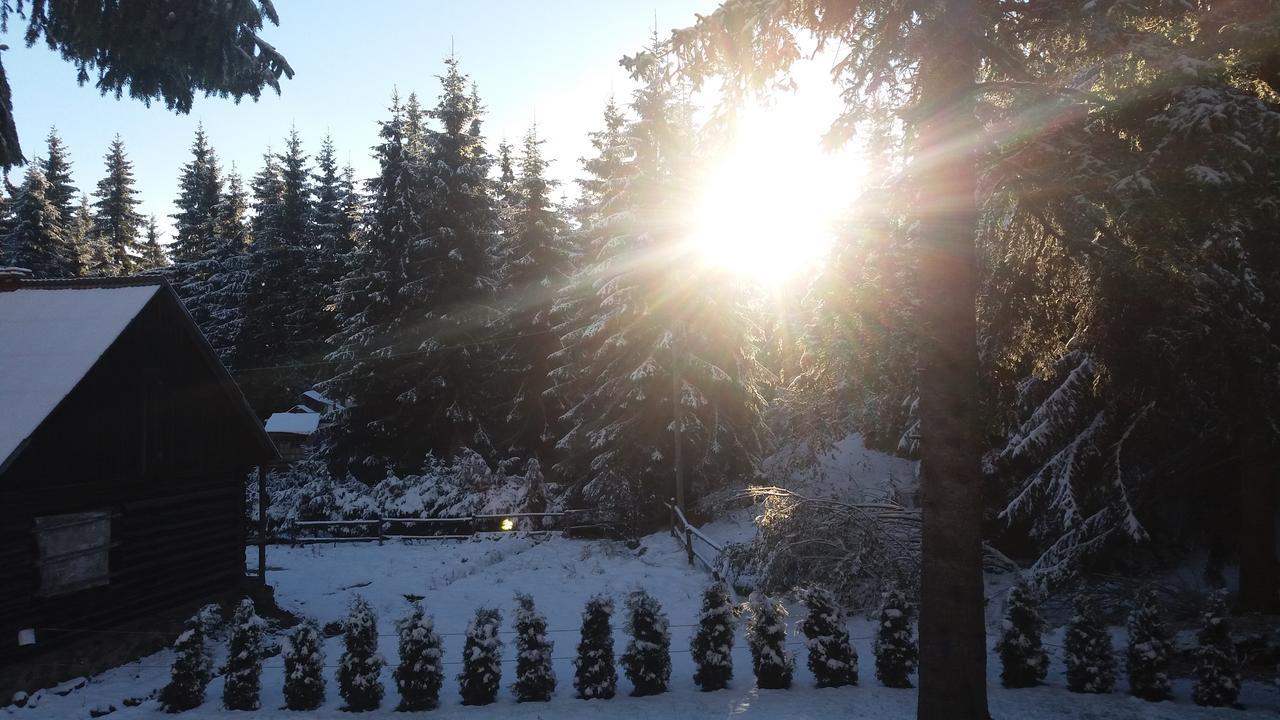 Bed and Breakfast Mofetta Panzio Sintimbru-Bai Екстер'єр фото