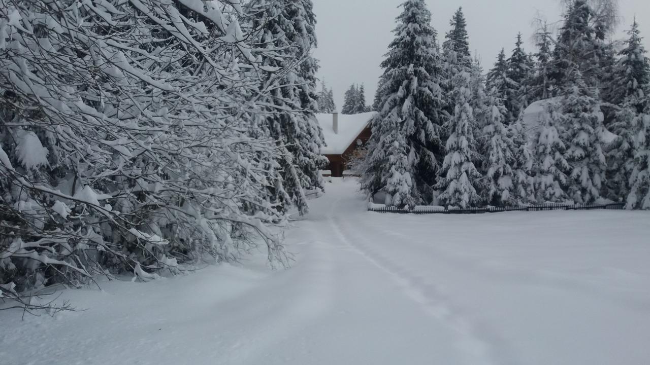 Bed and Breakfast Mofetta Panzio Sintimbru-Bai Екстер'єр фото