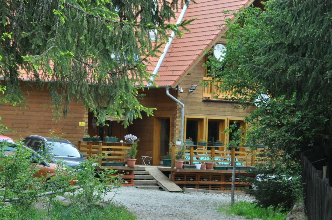 Bed and Breakfast Mofetta Panzio Sintimbru-Bai Екстер'єр фото